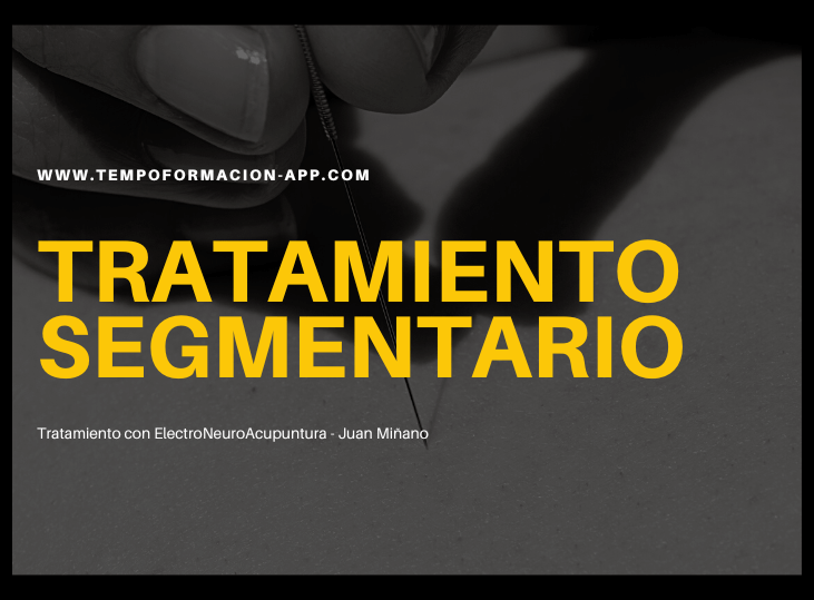 tratamiento-segmentario-y-electroneuroacupuntura